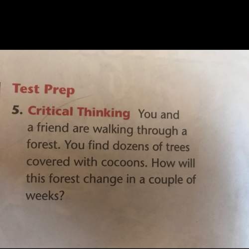 Test prep  critical thinking you and a friend are walking through a forest. you fi