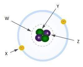 Look at the bohr model of the helium atom. what part of the atom is represented by the letter y? qu
