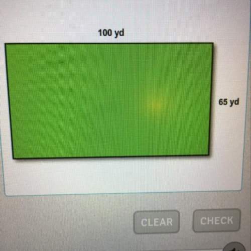 What is the perimeter of this rectangle