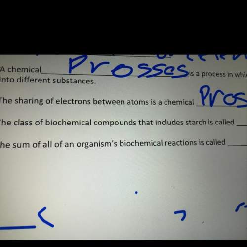 - the class of biochemical compounds that includes starch is called