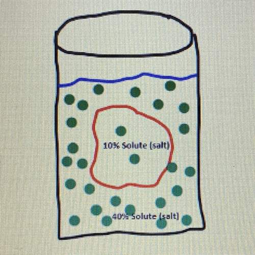 What will move across the cell membrane in this situation? the salt or the water?