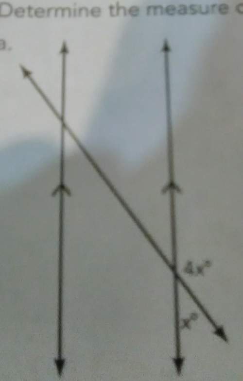 4x degrees x (determine the measure of the angle)