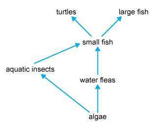 25 only answer if your 100% surethe following image is a food web in an aquatic ecosyst