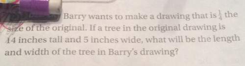 Barry wants to make a drawing that is the size of the original. if a tree in the original drawing is