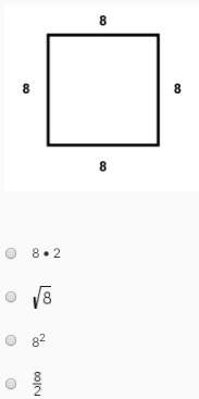 Which expression be used to calculate the area of this square?
