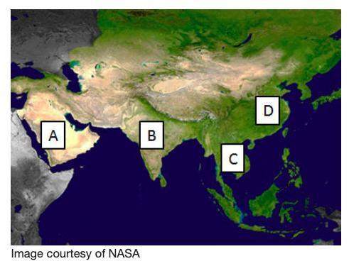 30 pts !  which letter on the map above represents the indian subcontinent?  a. le
