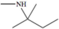 What type of functional group is represented in the compound?  the indicated group is a nh gr