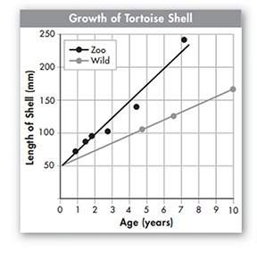 Identify the dependent variable on the growth of tortoise shell graph