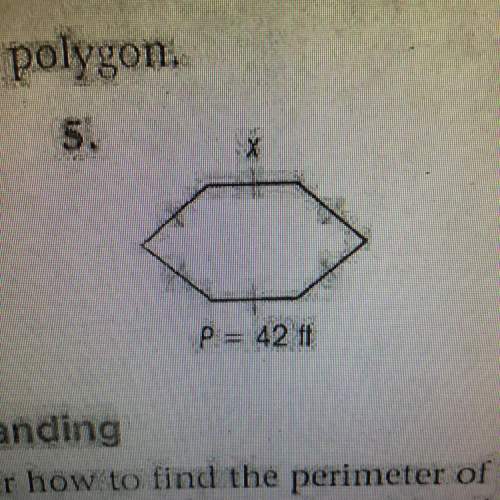 Find the value of x in each polygon.
