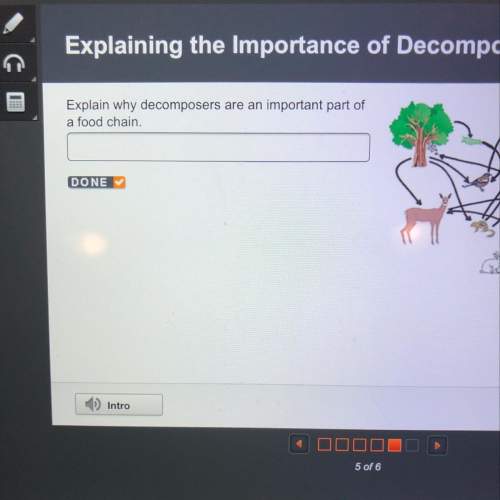 Explain why decomposers are an important part of a food chain