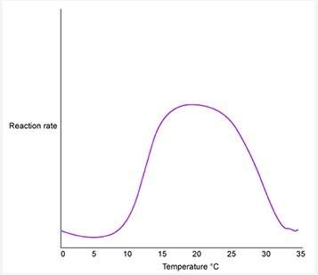 The graph above shows the progress of an enzyme-catalyzed chemical reaction. based on the graph, thi