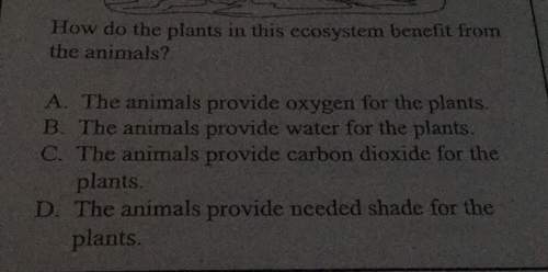 Do the plants in this ecosystem benefit from the animals? a. the animals provide oxygen for the pla