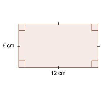 What is the perimeter of this rectangle?  18 cm 24 cm