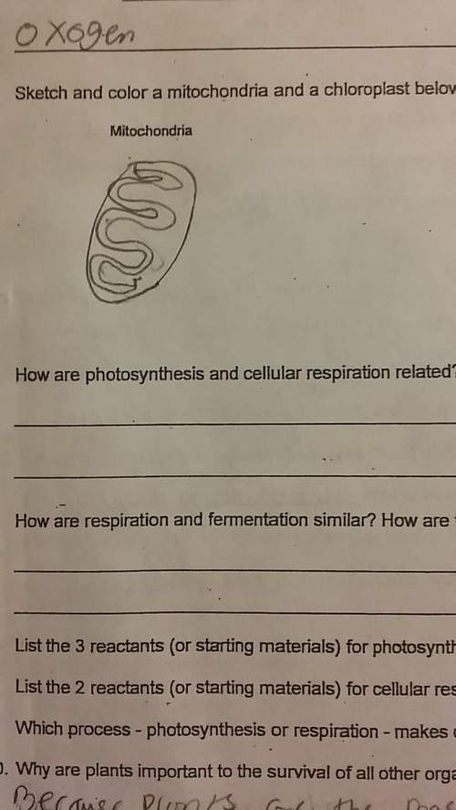 How are photosynthesis and cellular respiration related