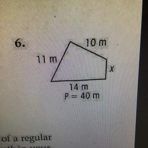 Find the value of x in the polygon.