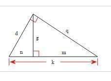 Use the figure to complete the proportion. n/g = g/?