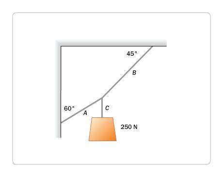 What is the tension in cord a in this diagram? it would if you answered in newtons but not absolut