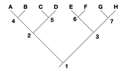 Ineed asap mark frist on with the most answered brainlest use the cladogram below to answer
