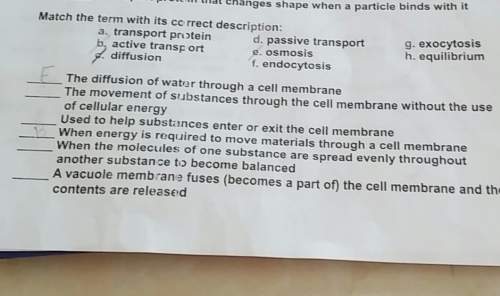 What is the answer to the movement of substances through the cell membrane without the use of cellul