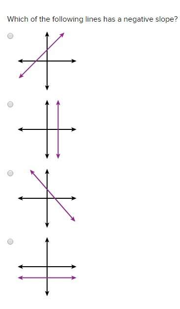 Which of the following lines has a negative slope? (photo attached)  (valid answers onl