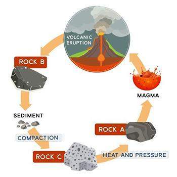 Points will mark brainliest the jpeg show the diagram of a rock cycle which type o