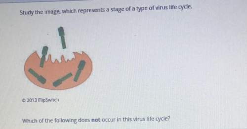 Which of the following does not occur in this virus life cycle  a) the virus inserts its dna i