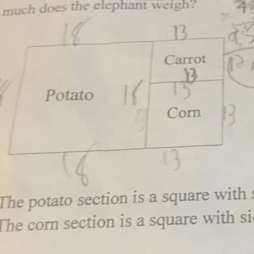The potato section is a square with side of 18 meters.the corn section is a square with length of 13