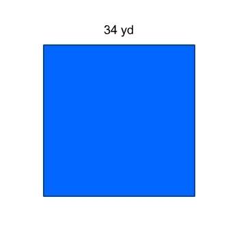 What is the perimeter of this square?