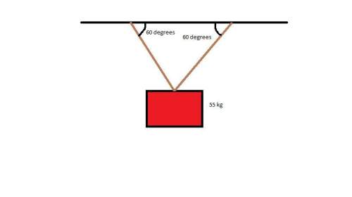 Plz will mark in the picture below, the block is being hung in equilibrium. what is the tensi
