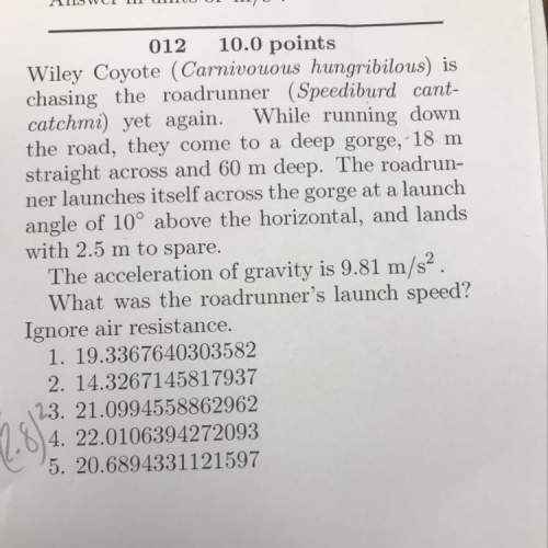 Wiley the coyote problem pls physics