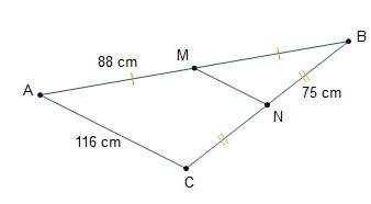 What is the length of mn?  58 cm 75 cm 88 cm 116 cm