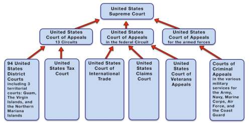 This chart would be most in a report about the a) different ways the courts rule.  b) d