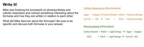 Photosynthesis and cellular respiration, look at the picture
