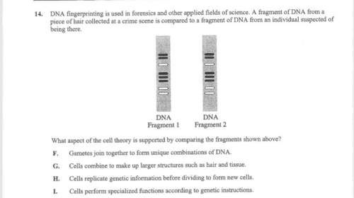 Can someone me out with this multiple choice question? (biology)