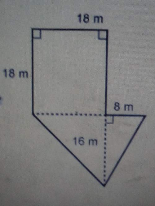 Plz explain. what is the area of this figure?
