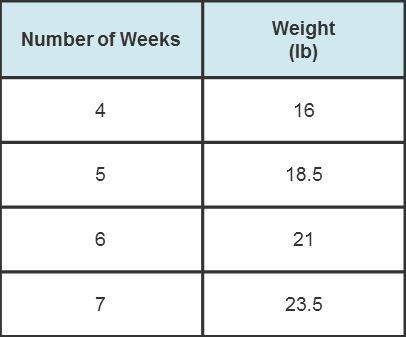 The table to the right displays the weight progress of a puppy at the end of week 4. if the relation