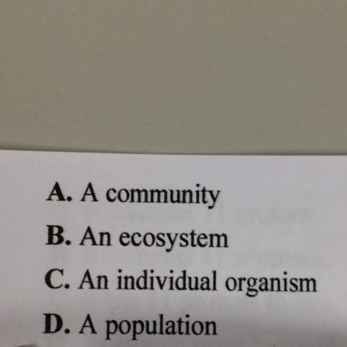 If a scientist is observing biotic and abiotic factors, which of the following level of organism mus