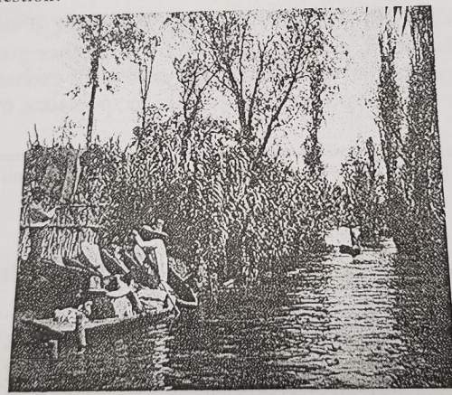 according to frances f. berdan's description of thedevelopment of the chinampas an