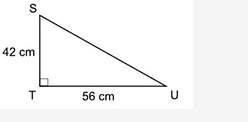 What is the length (in centimeters) of side su of the triangle?  a. 70 centimeters