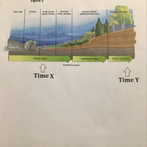 2. figure 5 shows an example of primary succession, whe le of primary succession, where
