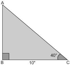 In the figure, ab = 15.8, 11.9 10.2, 8.4 inches and ac = 18.7, 15.5, 14.3, 13.1 inches.