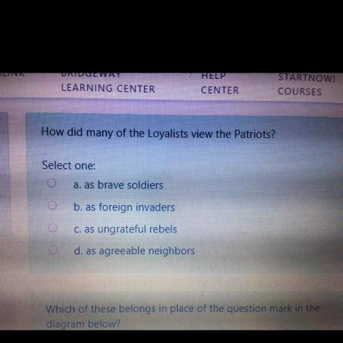 How did the loyalists view the patriots?