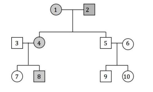 In the pedigree shown, the presence of a dominant autosomal genetic disorder is indicated by a shade
