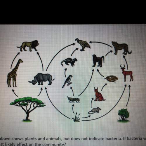 The food web illustrated above shows plants and animals, but does not indicate bacteria. if bacteria
