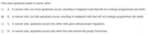?!??!!?!?

How does apoptosis relate to cancer cells?
A. In cancer cells, too much apoptosis occurs,