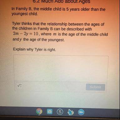Tyler thinks that the relationship between the ages of the children in Family B can be described wit