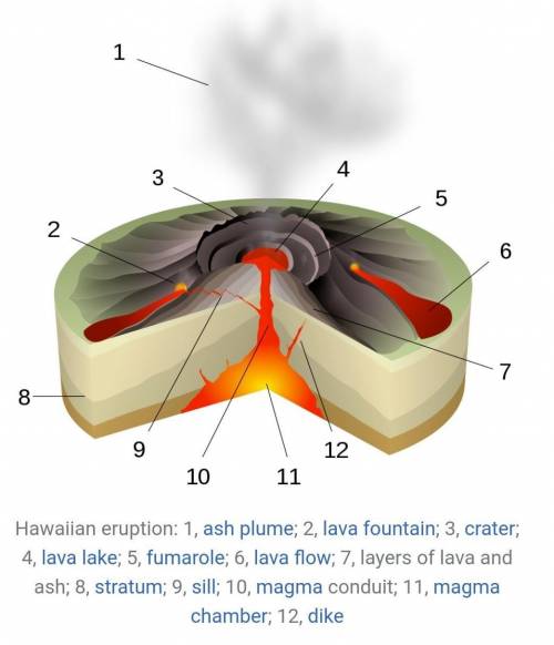 The eruption of a Hawaiian volcano would most likely cause...

A( a pyroclastic flow
B( basaltic lav