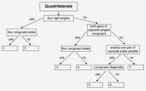 A hierarchy of quadrilaterals is shown. Name the figures that complete the hierarchy. Number the fig