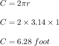 C = 2\pi r\\\\C = 2\times 3.14\times 1\\\\C = 6.28 \ foot