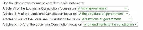 Use the drop-down menus to complete each statement.

Article VI of the Louisiana Constitution focuse